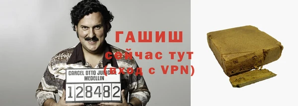 спиды Бородино