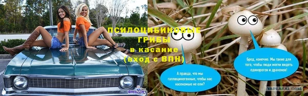 мескалин Богданович