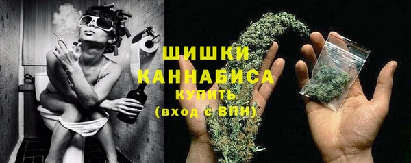 спиды Бородино
