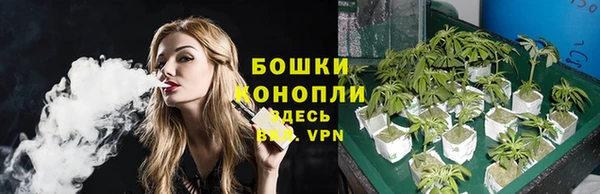 бутират Богородицк