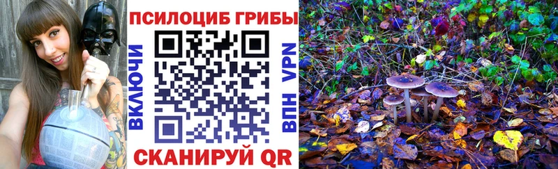 Псилоцибиновые грибы мухоморы мега сайт Нарткала