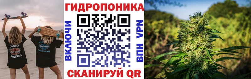 закладка  Нарткала  МАРИХУАНА планчик 